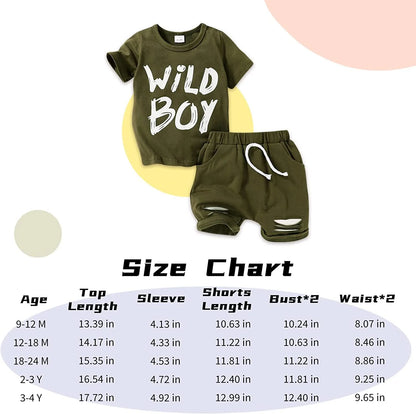 Baby Boy Kid Summer Outfits Set Short Sleeve T-Shirt Shorts Clothes Set for 2-3T